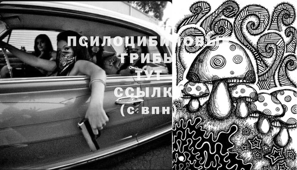 ПСИЛОЦИБИНОВЫЕ ГРИБЫ Каменск-Шахтинский