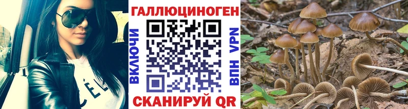 Купить где  Называевск  Псилоцибиновые грибы Psilocybine cubensis 