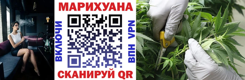 Купить закладки  Называевск  Конопля SATIVA & INDICA 